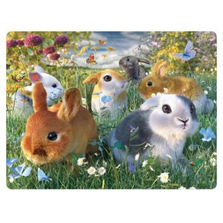 Obrázek z Pohlednice 3D 16cm - králíci (25) 